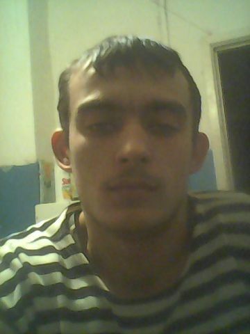  8681715  , 33 ,    
