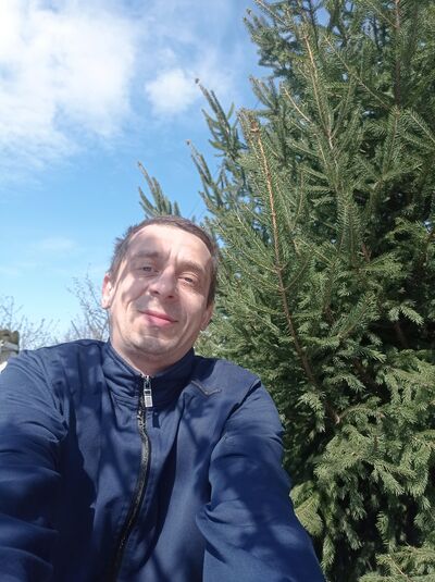  ,   , 44 ,  
