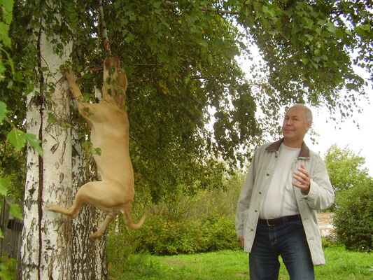  ,   Vlad, 54 ,  