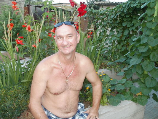  ,   VV, 61 ,   
