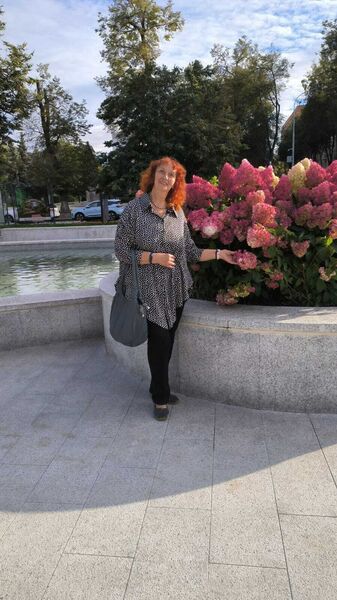   ,   , 62 ,   ,   