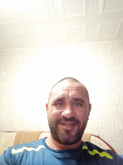   ,   , 46 ,  