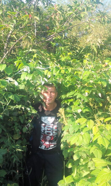  -,   , 43 ,   ,   , c 