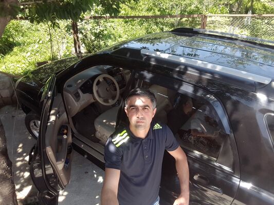  ,   Novruz, 40 ,     , c 