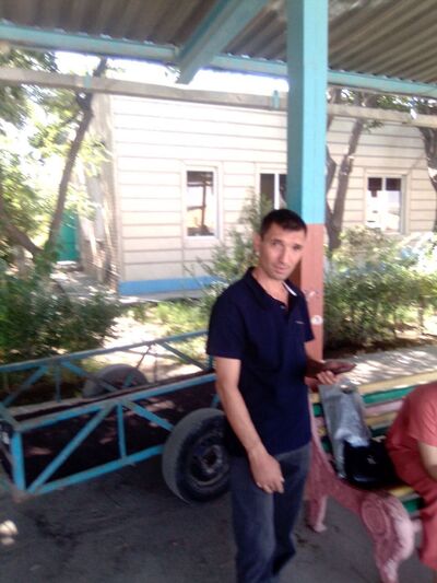  ,   Alfret, 41 ,   ,   