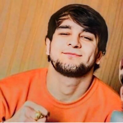  ,   Pansher, 24 ,   ,   