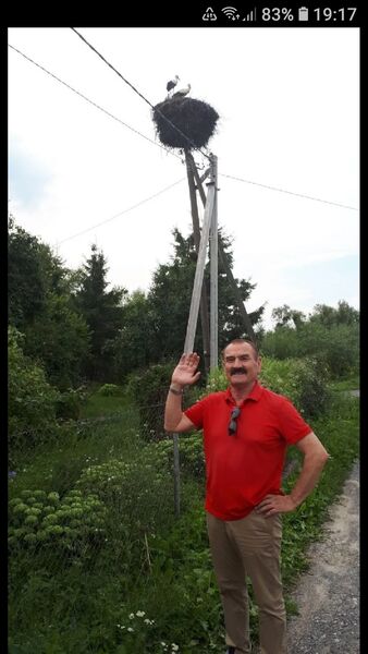  ,   , 59 ,     