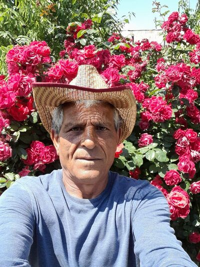  ,   , 60 ,   