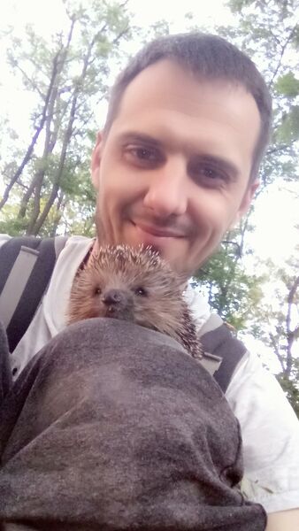  ,   Sviatoslav, 41 ,     , c 