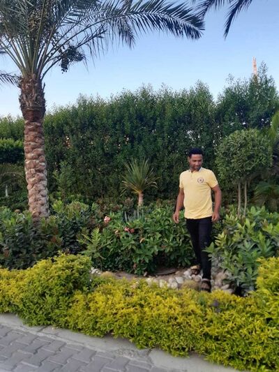  ,   Hamada, 44 ,   ,   , c 