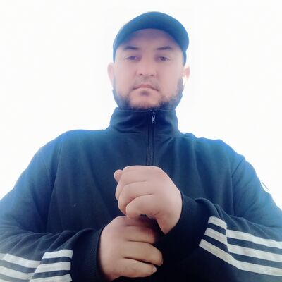  -,   Domod, 36 ,   ,   