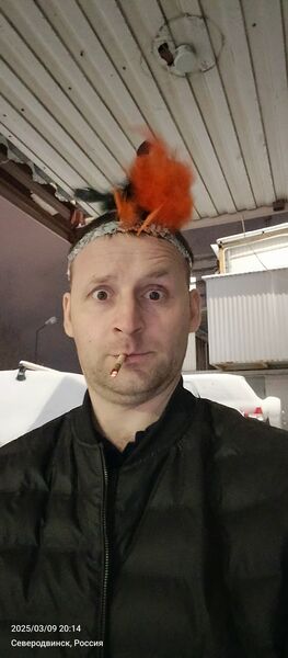  -,   , 34 ,   ,   