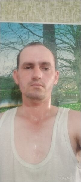  ,   , 33 ,     , c , 
