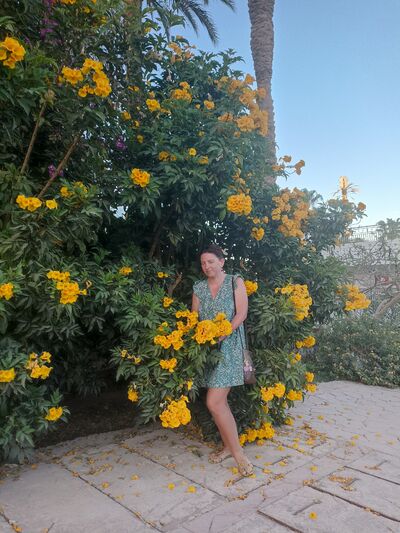  ,   , 41 ,   c 