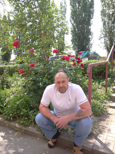  ,   Wladimir, 46 ,   ,   