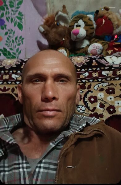  ,   , 53 ,   c 