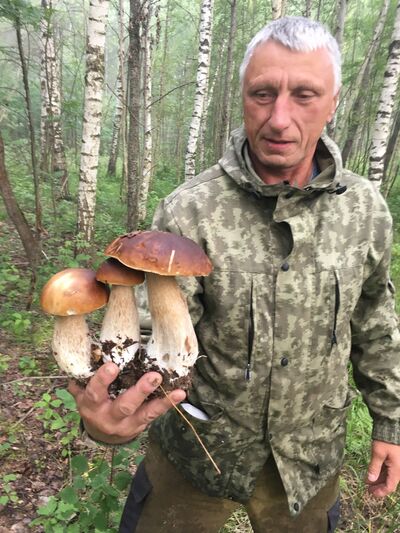  ,   , 61 ,   c 