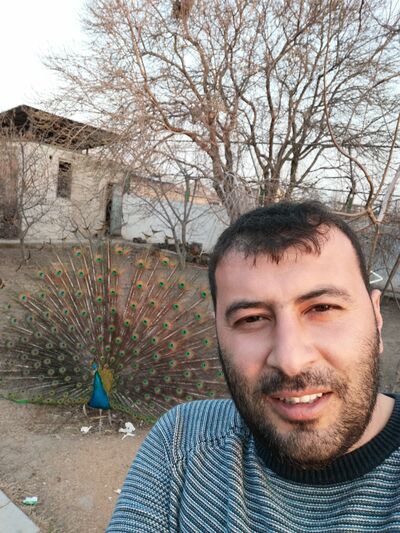  ,   , 41 ,   ,   