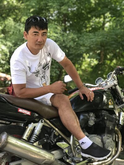  ,   , 46 ,   