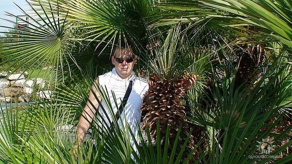  ,   Wladlen, 38 ,   ,   , c 