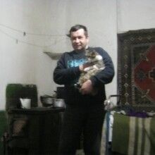  ,   Semmi, 54 ,   ,   , c 