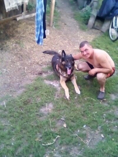 ���������� ������, ���� ������� ����, 36 ���, ������������ ��� ������, ����� � ���������, c�������� ���������