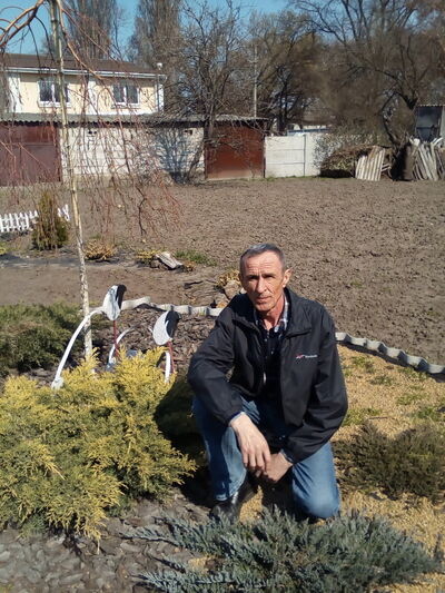  ,   , 65 ,   ,   , c 