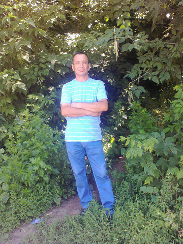  ,   , 52 ,   