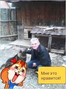  8447565  , 64 ,    -