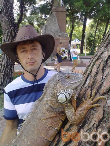  ,   , 44 ,   