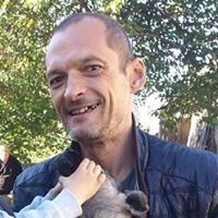  ,   , 55 ,   