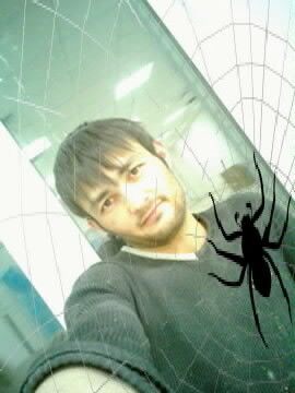  ,   , 33 ,   