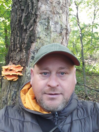  ,   , 52 ,   ,   