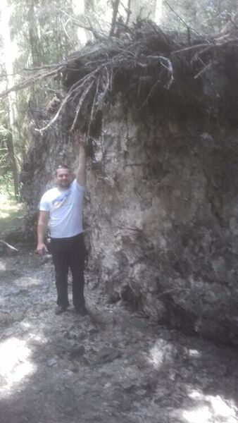  ,   Banderas, 39 ,   ,   , c 