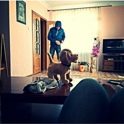  ,   Lyk, 29 ,  