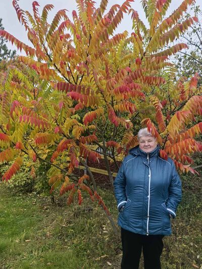  ,   , 63 ,   ,   , c 