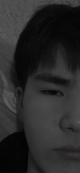  ,   Sultan, 21 ,   ,   