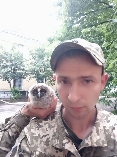  ,   , 31 ,     , c , 