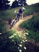 ���������� �����-���������, ���� ������� ��������, 40 ���, ������������ 