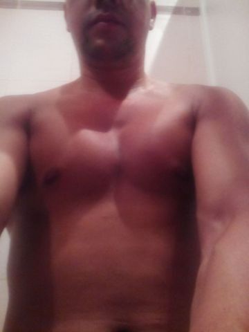  8416755  , 40 ,    