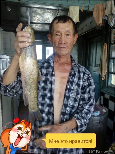  ,   , 67 ,  