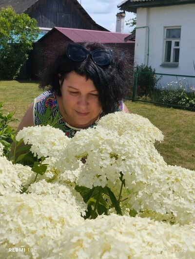  ,   , 43 ,   ,   , c , 