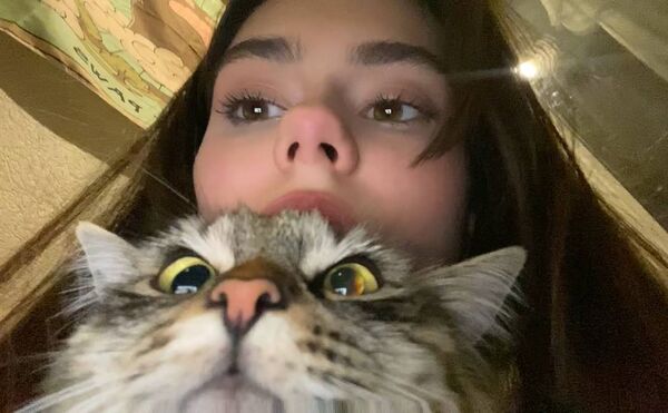  ,   , 22 ,     , c , 