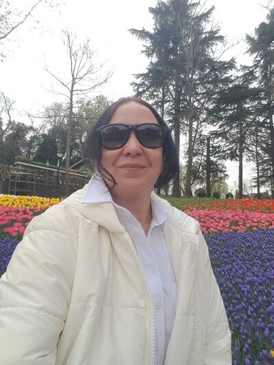  ,   , 61 ,     , 