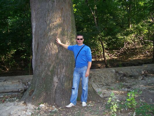  ,   German, 41 ,     , 