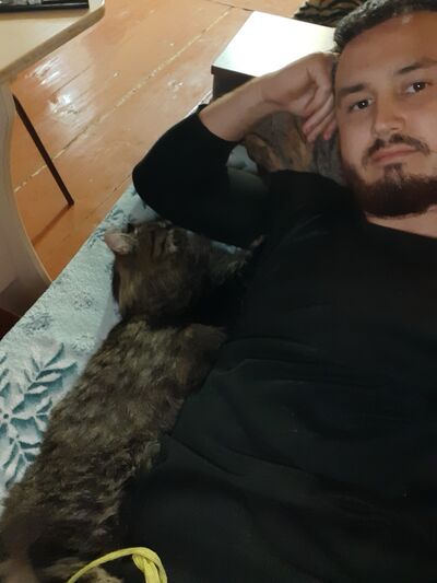  ,   , 28 ,  