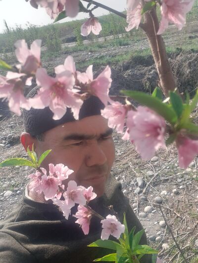  ,   , 50 ,   ,   , c , 