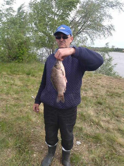  ,   Mik, 44 ,   ,   