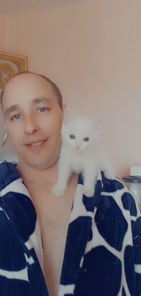  ,   , 43 ,   ,   