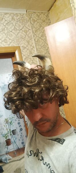  ,   , 44 ,   ,   